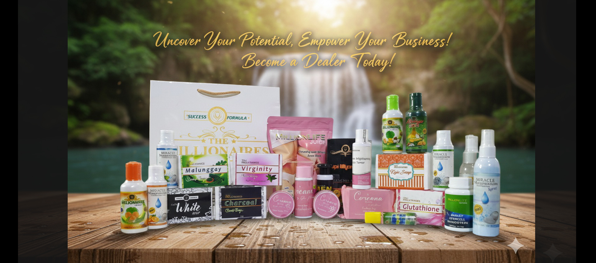 Become a Dealer